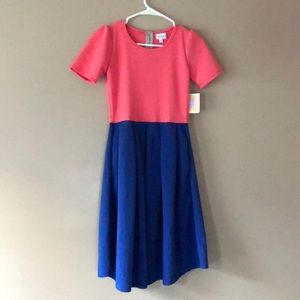 NWT Lularoe Amelia Color Block Dress